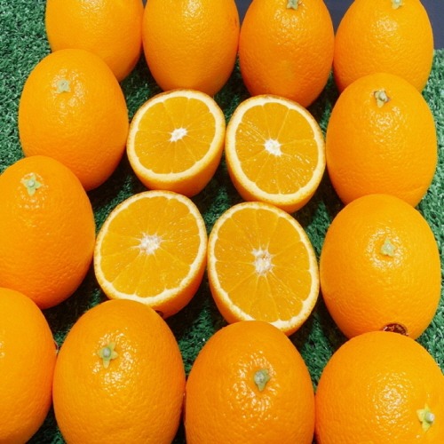 [단독] 블랙라벨 오렌지 2kg / 믿고먹는 썬키스트 브랜드 오렌지 중에서 가장 당도 높은 블랙라벨!